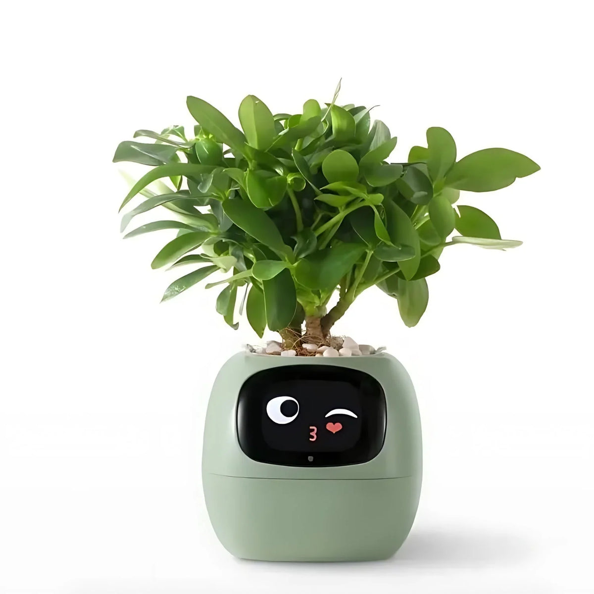 Smart Flower Pot Self-Watering Interactive Emoji Display & App Alerts
