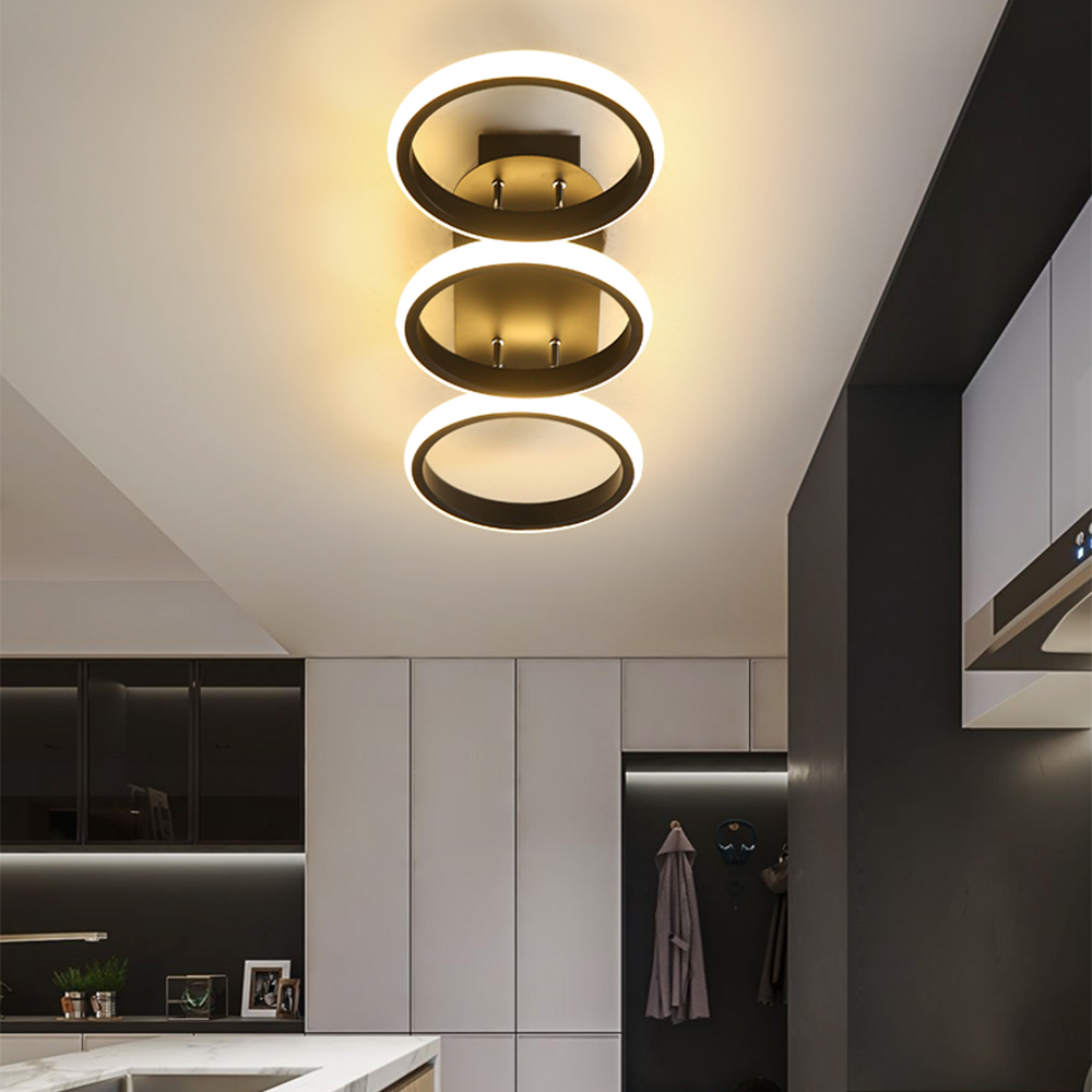 Sleek Contemporary Ceiling Light – Modern LED Fixture