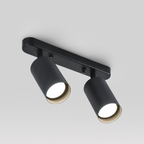 Ceiling Spotlight with Adjustable Dual Heads