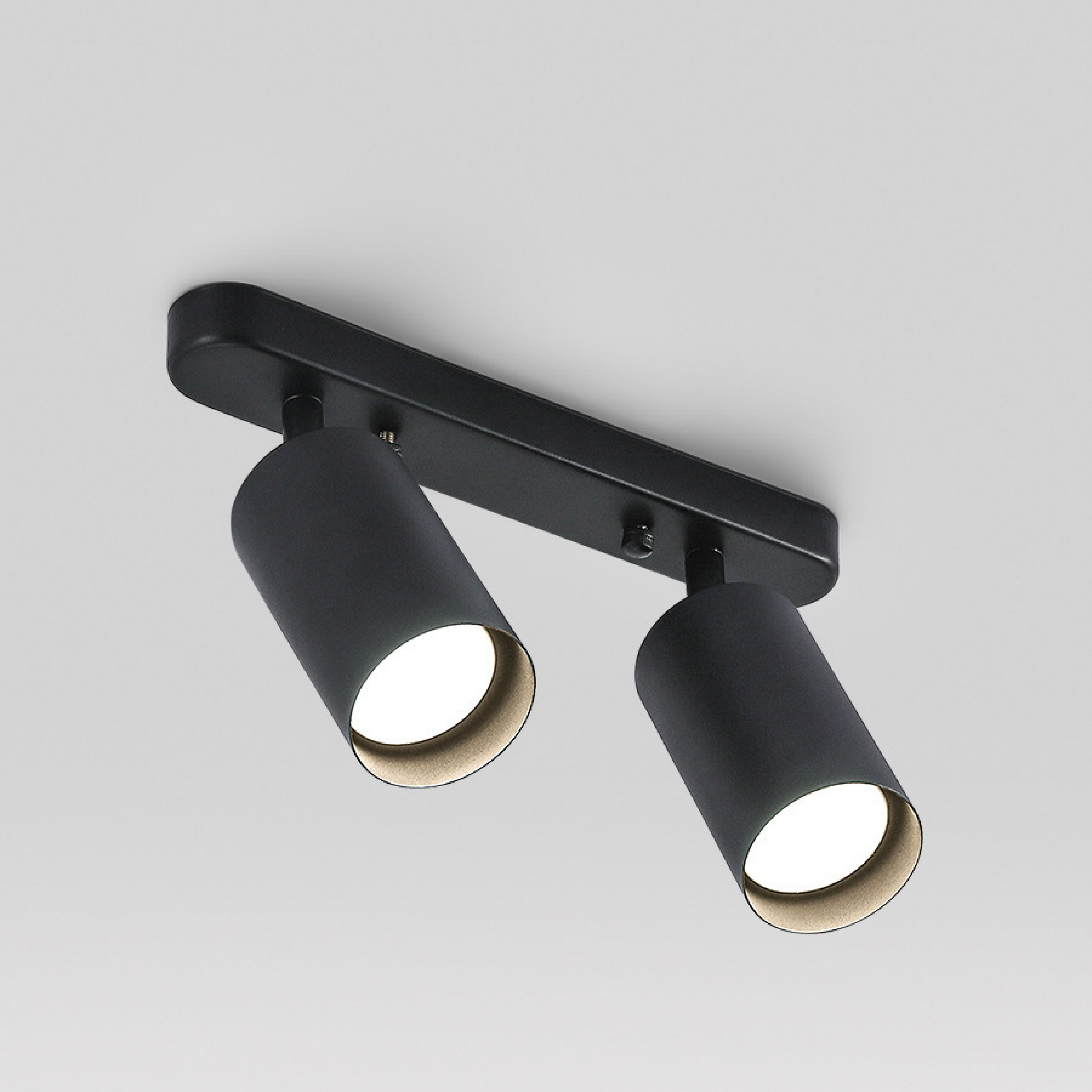 Ceiling Spotlight with Adjustable Dual Heads