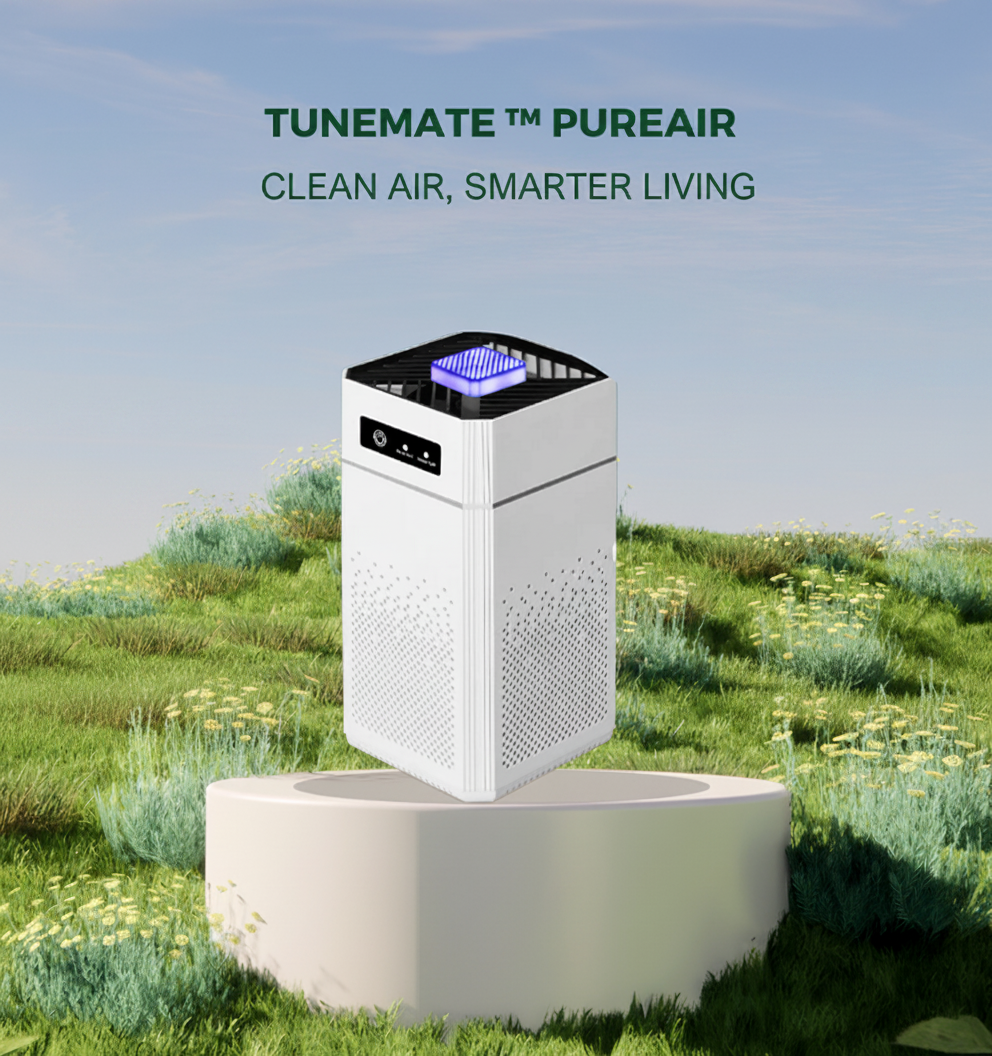 Quiet Operation HEPA Air Purifier for Home Use