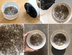 Mosquito Trap 365nm UV Chemical-Free USB Powered