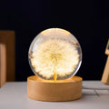 Crystal Ball Lamp Preserved Flowers Beechwood Base USB Powered