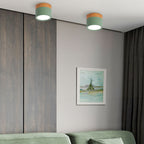 Sleek Modern LED Ceiling Fixture with Wood Accent