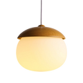 Wooden Pendant Light in Nordic Style
