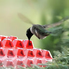 Hanging Garden Feeding Station for Hummingbird Nectar