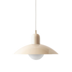 Ceiling Light Fixture with Curved Metal Shade - Hanging Design