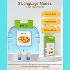 Flash Cards Spanish & English Audio 224 Words
