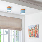 Sleek Modern LED Ceiling Fixture with Wood Accent