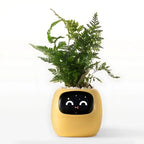 Smart Flower Pot Self-Watering Interactive Emoji Display & App Alerts