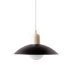 Ceiling Light Fixture with Curved Metal Shade - Hanging Design