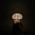 Night Light Kit Natural Sea Urchin Shell Gilded Base