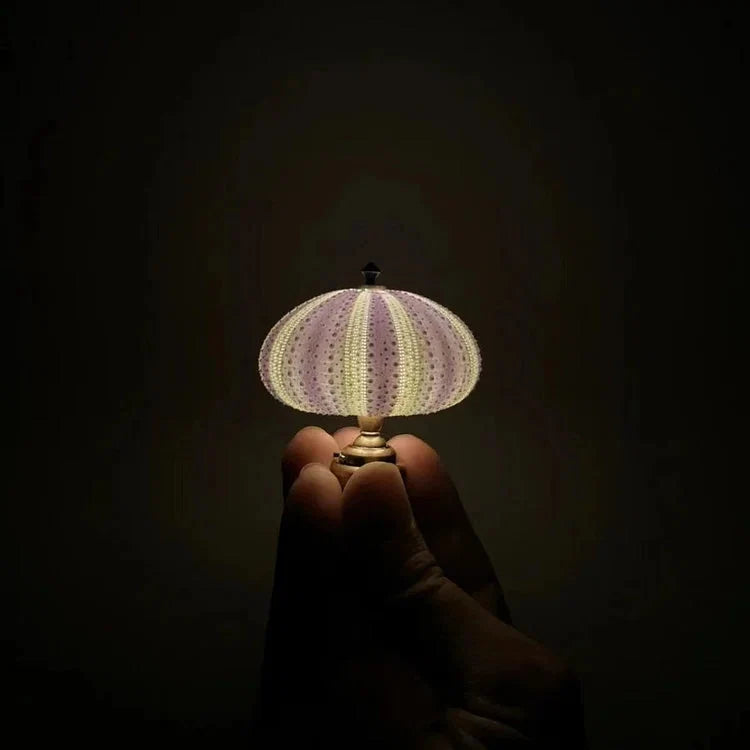 Night Light Kit Natural Sea Urchin Shell Gilded Base