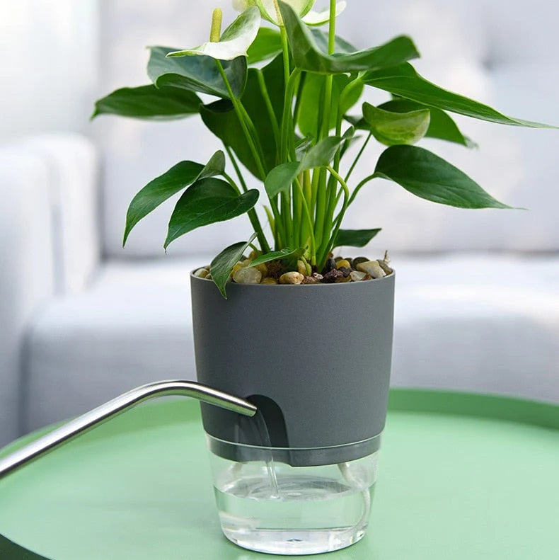 Self-Watering Plant Pot 20-Day Reservoir Transparent Base
