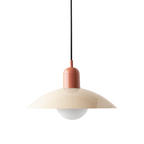 Ceiling Light Fixture with Curved Metal Shade - Hanging Design