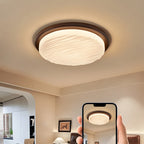 Modern Design Ceiling Light with Art Deco Style – Vintage Elegance