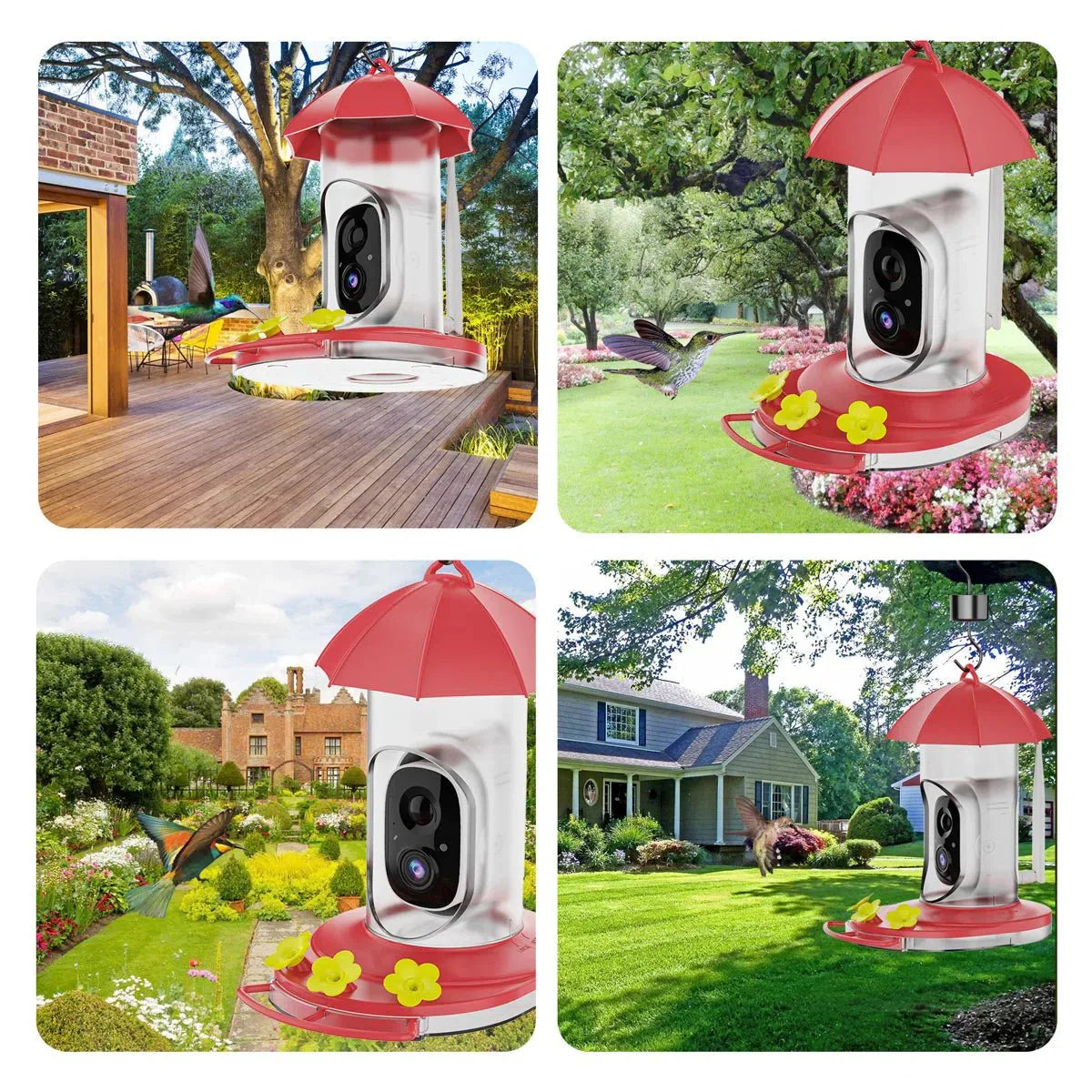 Smart Bird Feeder with Camera – Outdoor Observation Station