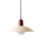 Ceiling Light Fixture with Curved Metal Shade - Hanging Design