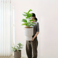 Self-Watering Planter with Water Level Indicator – Modern Wine Glass Shape