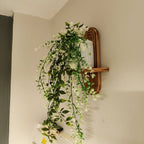 Set of 2 Floating Wood Wall Shelves with Curved Grooved Back