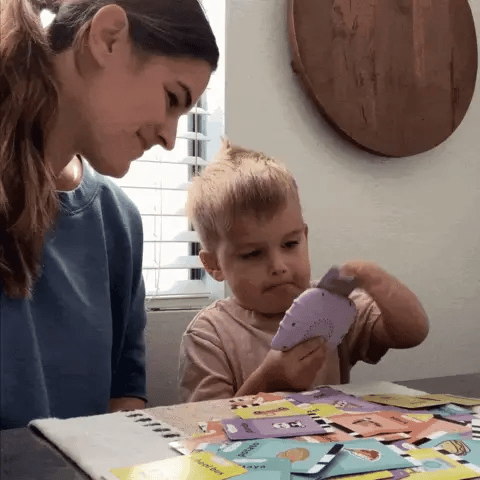 Flash Cards Spanish & English Audio 224 Words