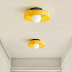 Ceiling and Wall Light Fixture with Central Glass Globe Design