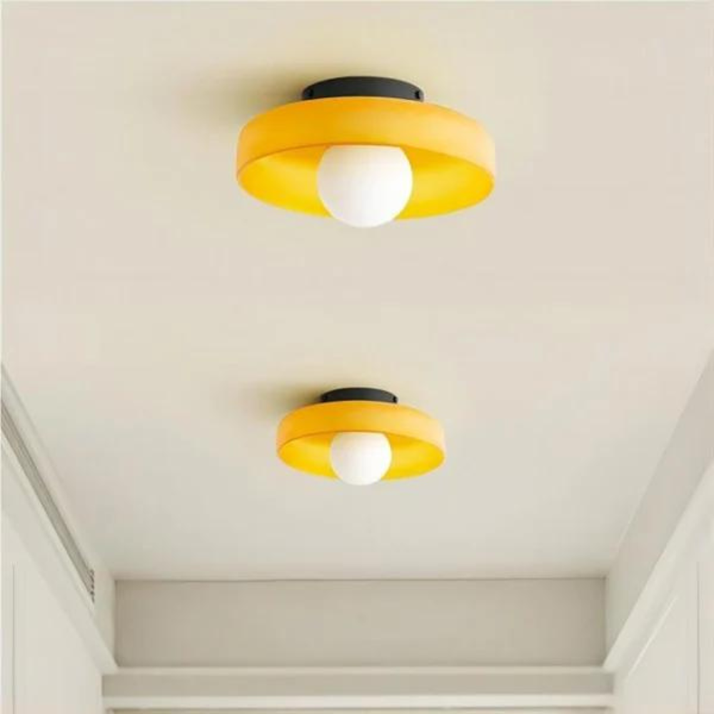 Ceiling and Wall Light Fixture with Central Glass Globe Design