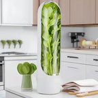 Herb Storage Box Air Circulation & Humidity Control