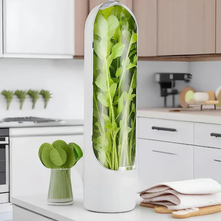 Herb Storage Box Air Circulation & Humidity Control
