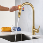 Single Handle Sink Tap with Pull-Out Spray Head for Kitchen