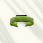 Flush Mount Stylish LED Ceiling Light Fixture