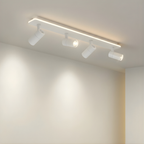 Ceiling Light Fixture with Multiple Spotlights