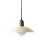 Ceiling Light Fixture with Curved Metal Shade - Hanging Design