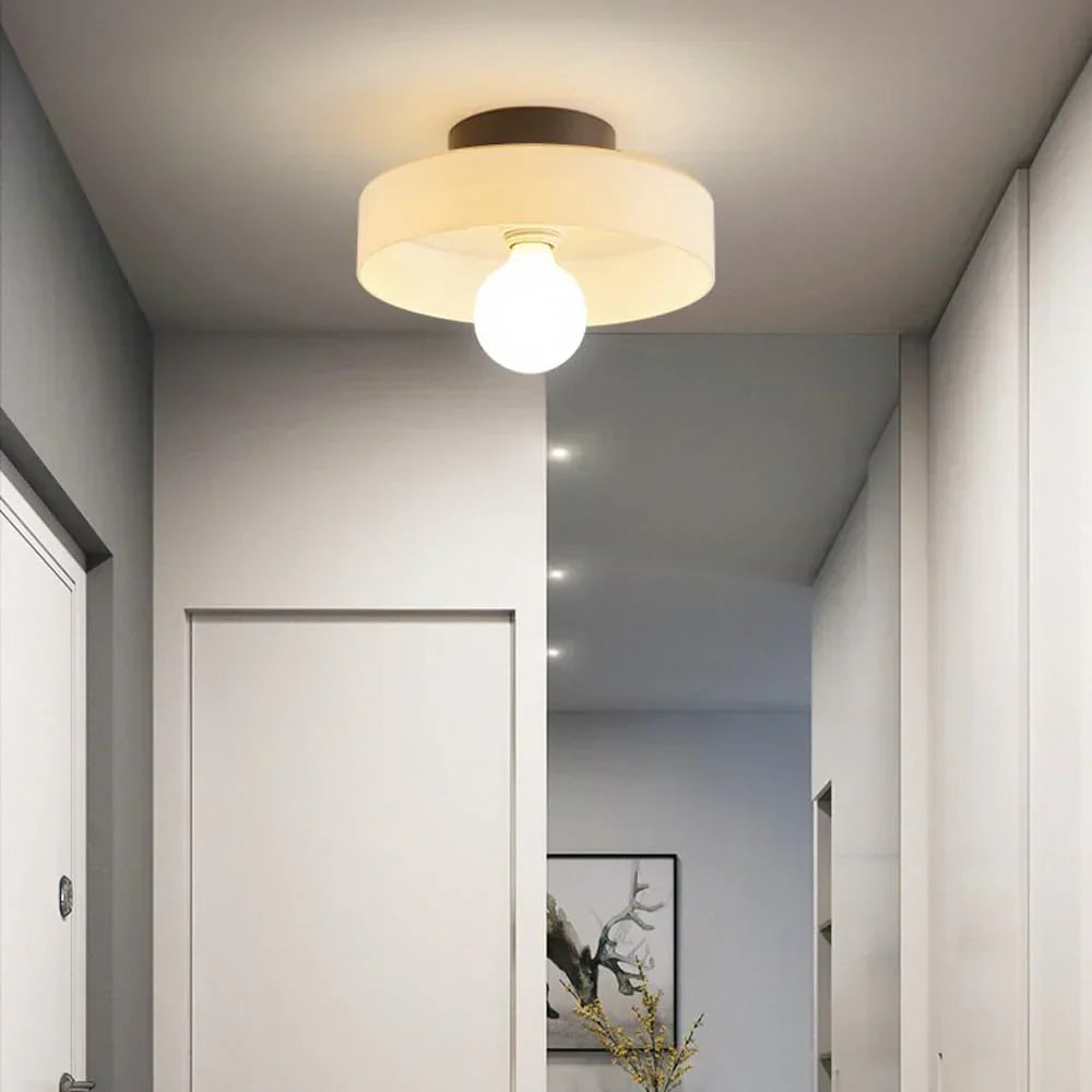 Ceiling and Wall Light Fixture with Central Glass Globe Design