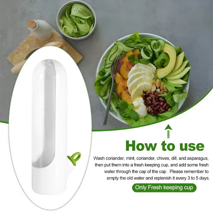 Herb Storage Box Air Circulation & Humidity Control