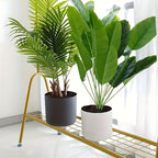 Decorative Plant Pot with Wooden Legs – Round Design for Indoor/Outdoor Use