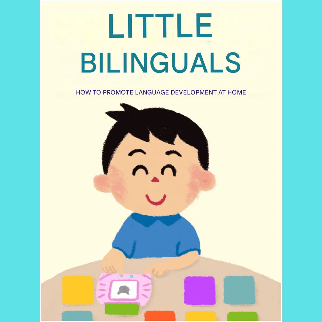 Flash Cards Spanish & English Audio 224 Words