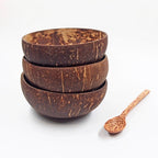 Tropical Bliss Coconut Serving Bowl