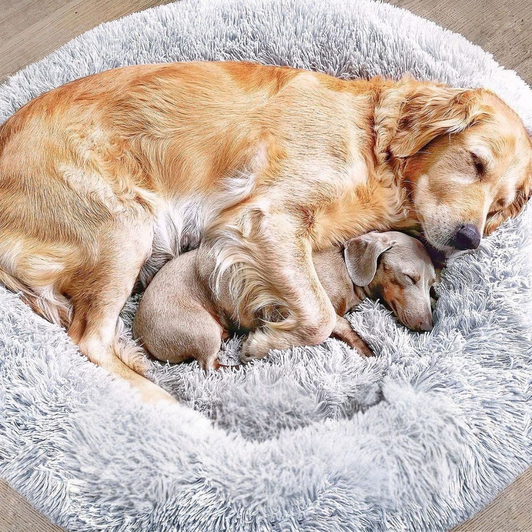 Dog Bed Donut Ultra-Soft Faux Fur Removable Washable Cover