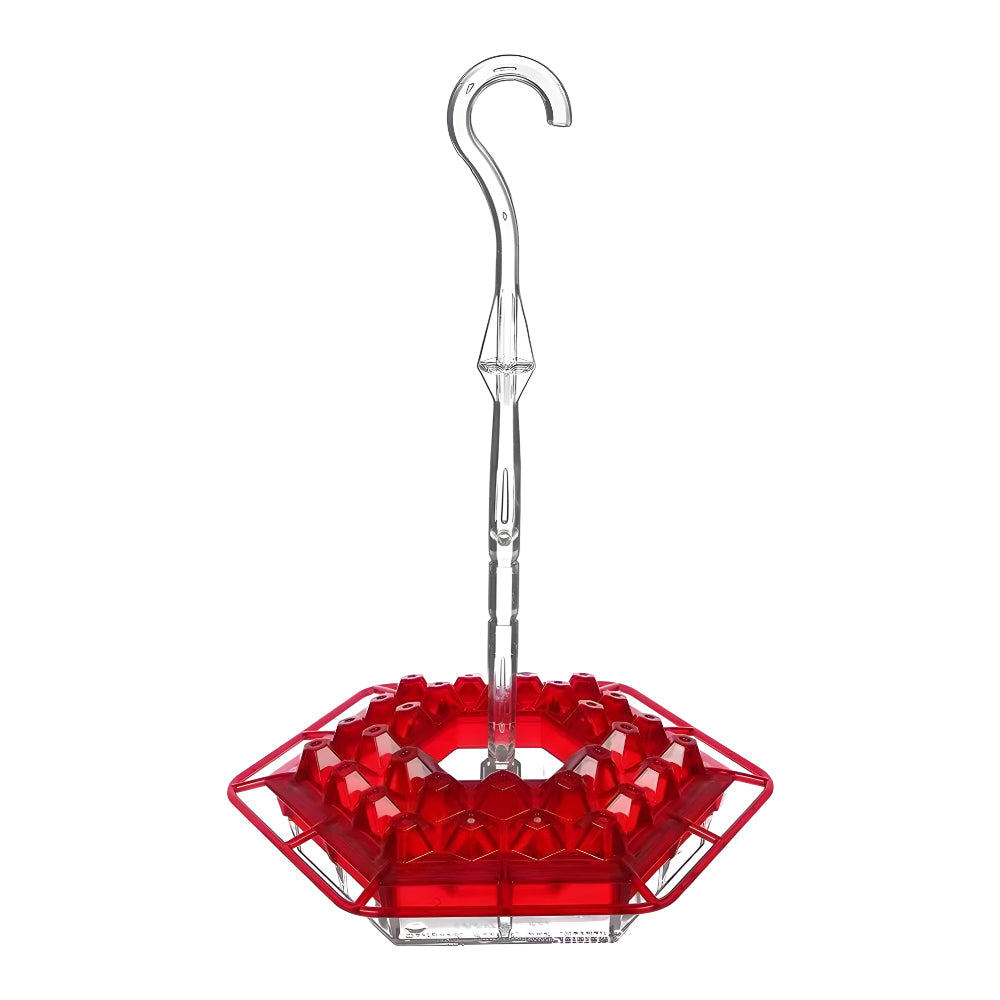 Hanging Garden Feeding Station for Hummingbird Nectar