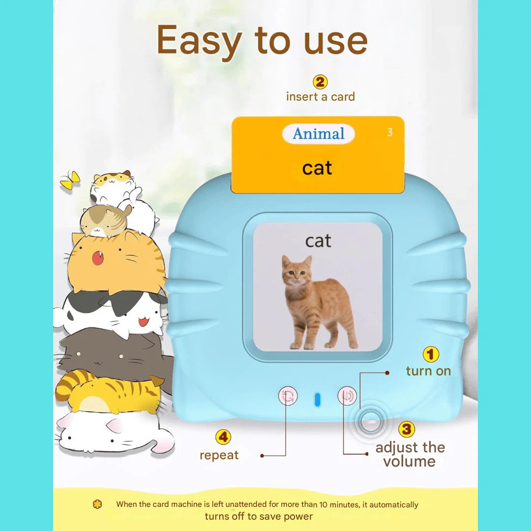 Flash Cards Spanish & English Audio 224 Words