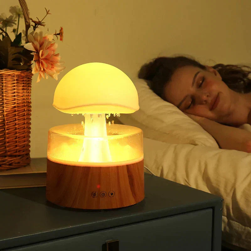 Humidifier Aromatherapy & Night Light USB Powered