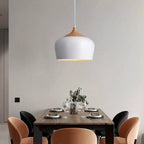 Scandinavian Style Pendant Lamp | Iron and Wood Texture Design