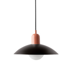 Ceiling Light Fixture with Curved Metal Shade - Hanging Design