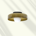 Flush Mount Stylish LED Ceiling Light Fixture