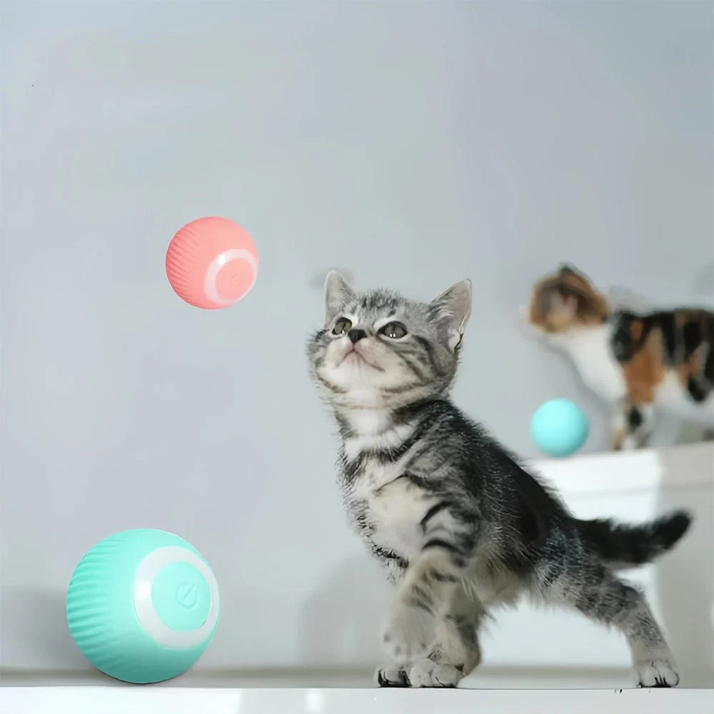 Interactive Cat Toy Rechargeable 48-Hour Automatic Rolling Smart Touch