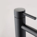Cold Water Tap Matte Black Stainless Steel