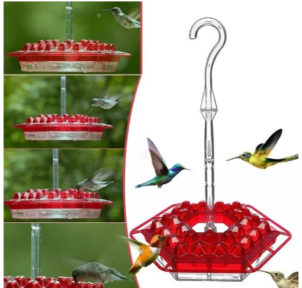 Hanging Feeder for Hummingbirds with Nectar Tray and Ant Guard