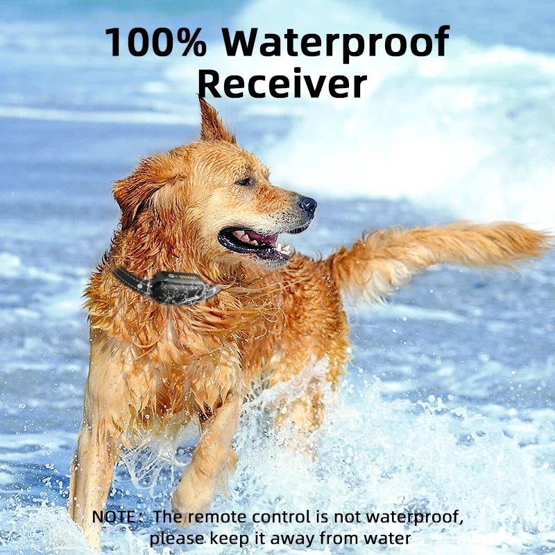 Dog Training Collar Remote 3300 Ft IPX7 Waterproof