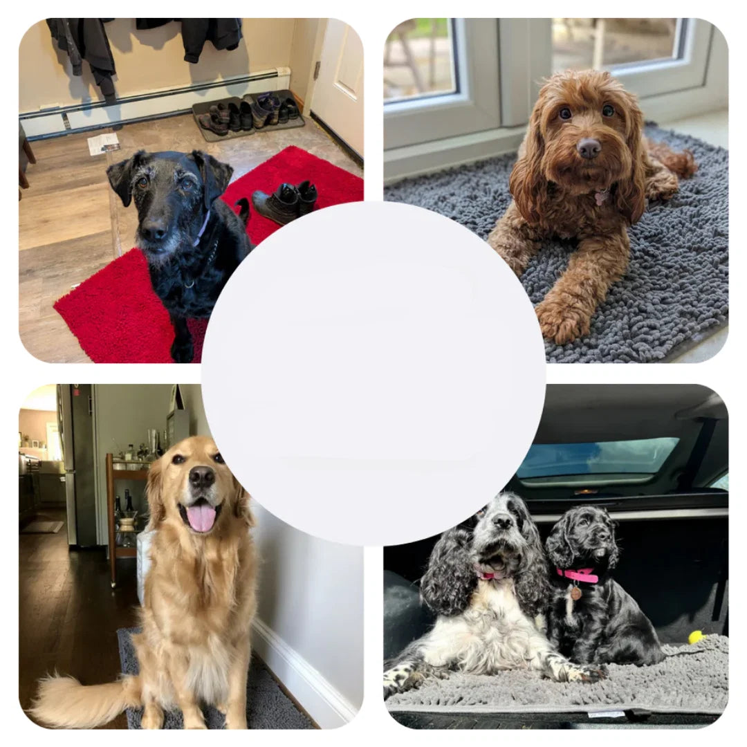 Dog Mat Ultra-Absorbent Chenille Non-Slip & Machine Washable